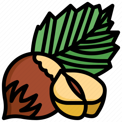 Hazelnut, seed, nuts, nut, organic icon - Download on Iconfinder