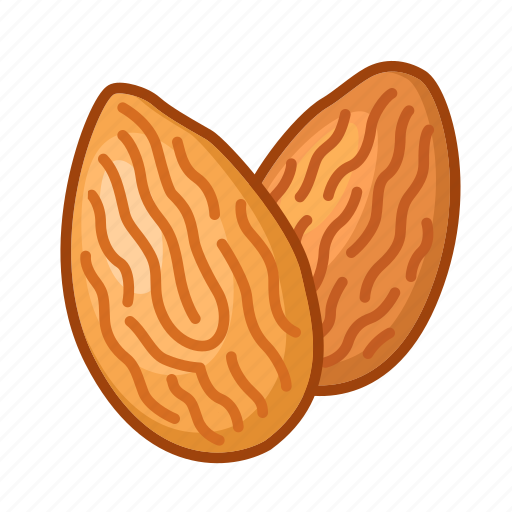Almonds, nuts, shell icon - Download on Iconfinder
