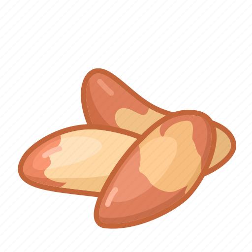 Brazil, nut, nuts, shell icon - Download on Iconfinder