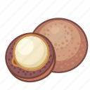 macadamia, nuts, shell 
