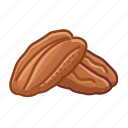 pecans, nuts, shell 