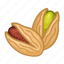 pistachio, nuts, shell 