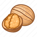 walnut, nuts, shell 