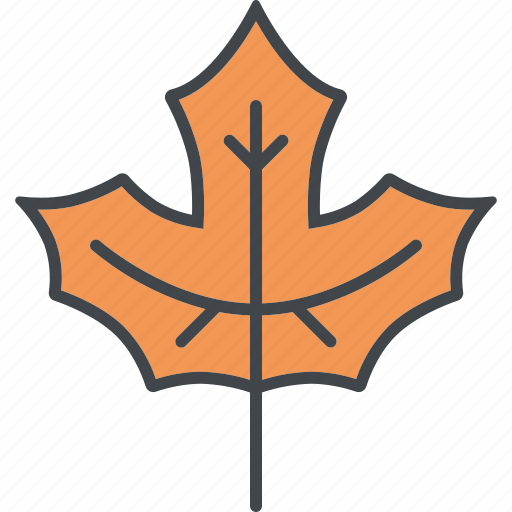 Autumn, fall, leaf, maple, nature, plant, season icon - Download on Iconfinder