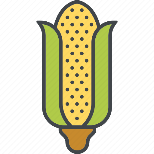 Agriculture, autumn, cob, corn, crop, fall, nature icon - Download on Iconfinder