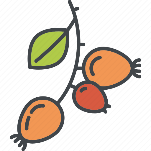 Autumn, berry, branch, dog rose, fall, fruit, nature icon - Download on Iconfinder