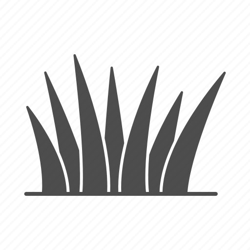 Grass, plant, nature, natural, garden, leaf icon - Download on Iconfinder