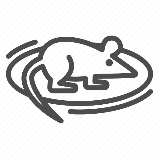 Experiment, rodent, mouse, rat, laboratory, tail icon - Download on Iconfinder