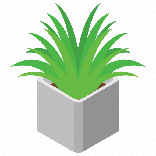 Decorative plant, domestic plant, living thing, plant, urn icon - Download on Iconfinder