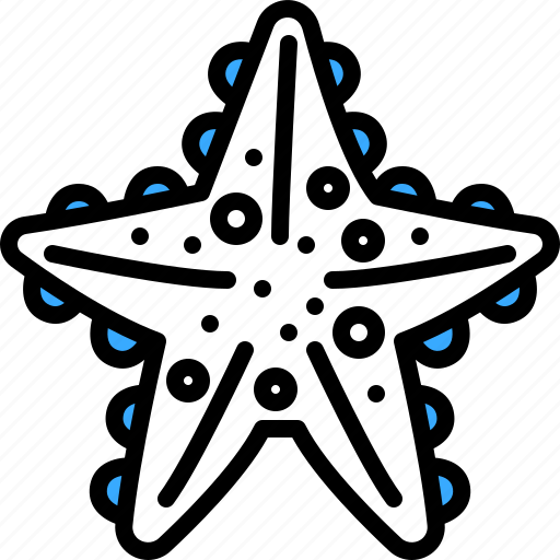 Starfish, echinoderm, invertebrate, aquarium, animal, kingdom, sea icon - Download on Iconfinder