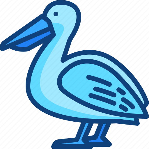 Pelican, bird, animals, animal, wild, life, kingdom icon - Download on Iconfinder