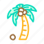 palm, tree, coconut, coco, fruit, white 