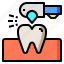 dentist, healthcare, medical, odontologist, teeth 