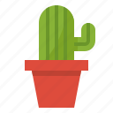 botanical, cactus, desert, plant
