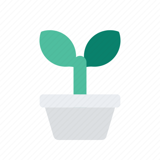 Decor, decoration, office, plant, tools icon - Download on Iconfinder