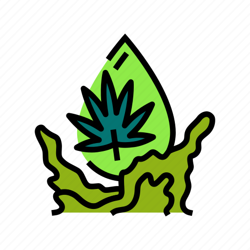 Hemp, oil, liquid, yellow, drop, cooking icon - Download on Iconfinder