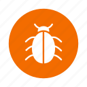 bug, insect, insert, ladybug, nature, trojan, virus 
