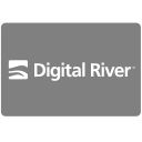 payment, digitalriver, river, methods, digital