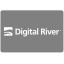 payment, digitalriver, river, methods, digital 