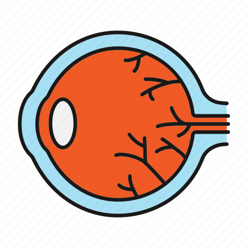 Anatomy, eye, eyeball, eyesight, infection, sore eye, vision icon - Download on Iconfinder