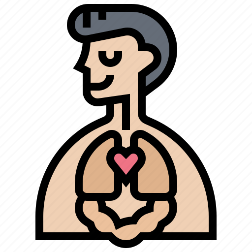 Body, human, internal, organ, system icon - Download on Iconfinder