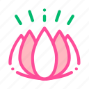 cosmetic, flower, ingredient icon
