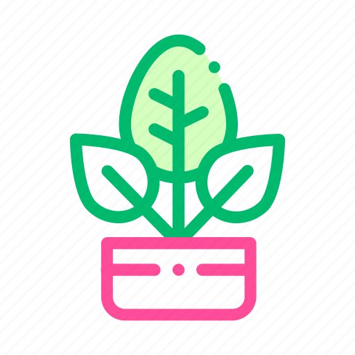 Bush, leaves, offshoot, plant icon icon - Download on Iconfinder