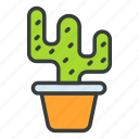 cactus, summer, flower, nature, green