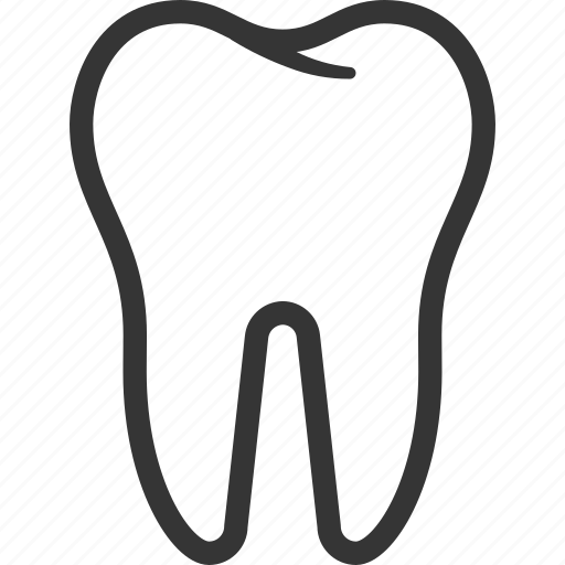 Teeth, tooth, dentist, organ, department, hospital, health icon - Download on Iconfinder