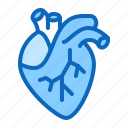 cardiology, cardiovascular, heart