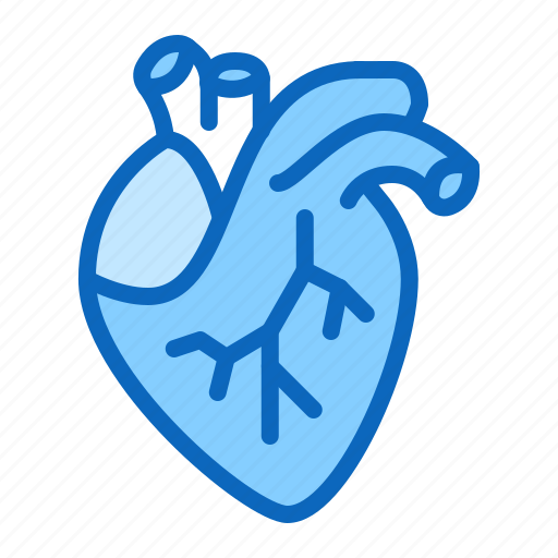 Cardiology, cardiovascular, heart icon - Download on Iconfinder