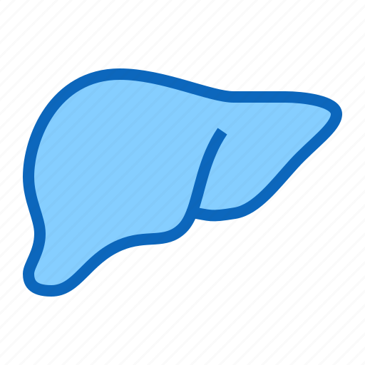 Anatomy, detoxification, hepatology, liver icon - Download on Iconfinder