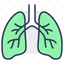 lung, human, organ, respiratory, system, anatomy
