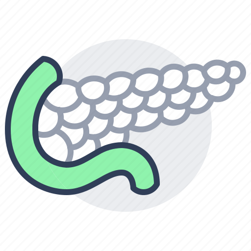 Pancreas, human, organ, anatomy, digestive, system icon - Download on Iconfinder