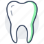 tooth, teeth, dentistry, stomatology, human 