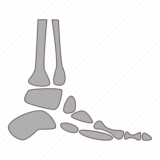 Ankle, joint, man, people icon - Download on Iconfinder