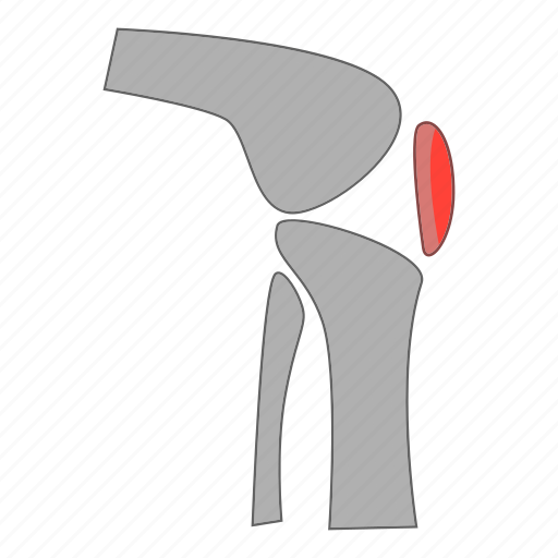 Artificial, joint, knee, people icon - Download on Iconfinder