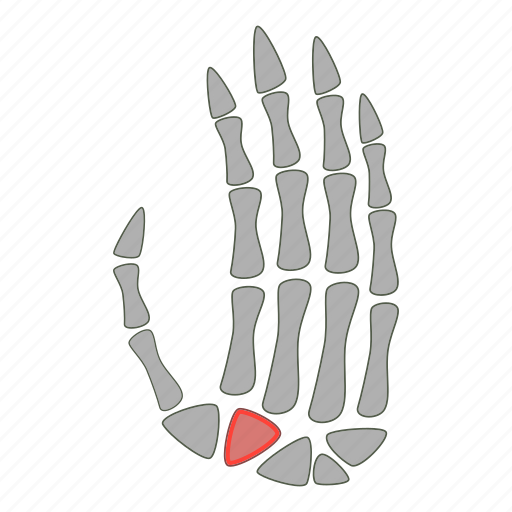 Bone, hand, joint, people icon - Download on Iconfinder