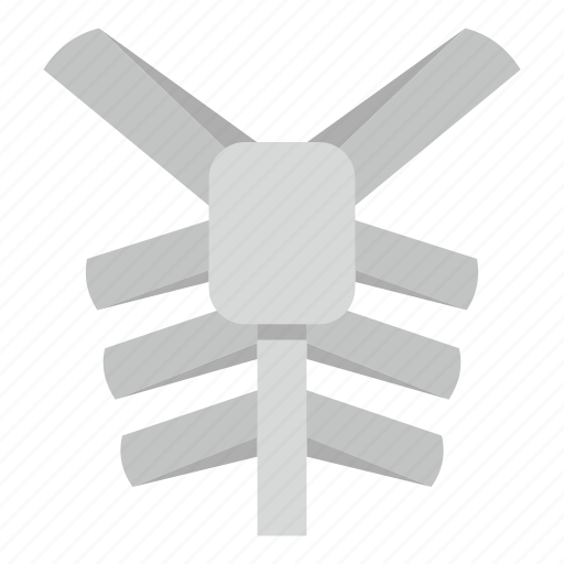 Anatomy, biology, body, bone, human thorax, spine, thorax icon - Download on Iconfinder
