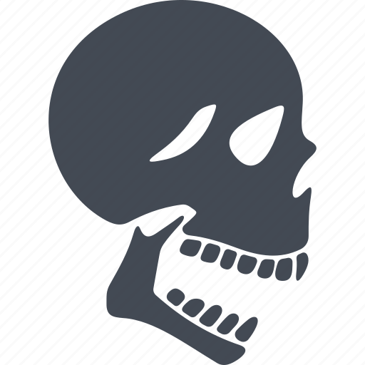 Orthopedics, skull, skeleton, skull head icon - Download on Iconfinder