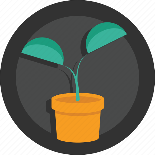 Plant, jar, pot, tree, tub, grow icon - Download on Iconfinder