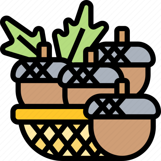 Acorn, nut, oak, fruit, basket icon - Download on Iconfinder