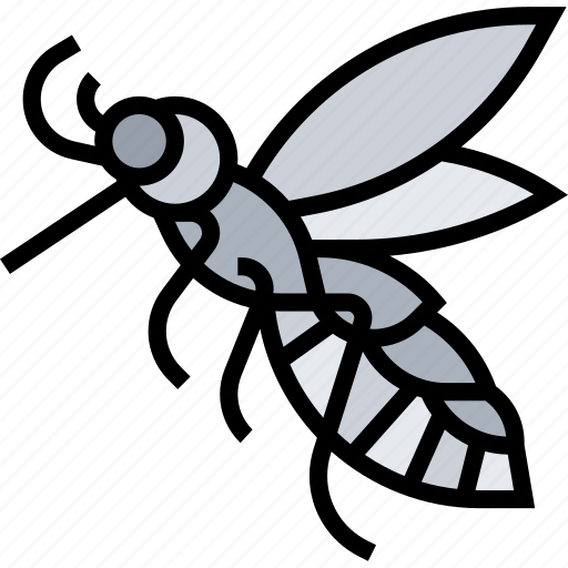 Mosquito, insect, culex, pest, dengue icon - Download on Iconfinder