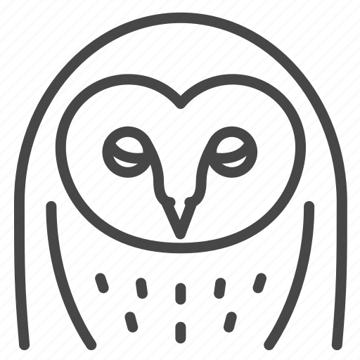 Barn owl, bird, birds of prey, night, owl icon - Download on Iconfinder
