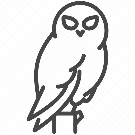 Bird, birds of prey, eagle, night, owl, snowy owl icon - Download on Iconfinder