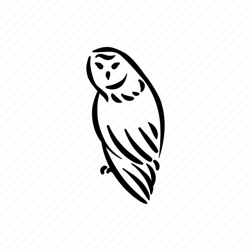 Owl, animal, aves, bird, wild, wisdom, education icon - Download on Iconfinder