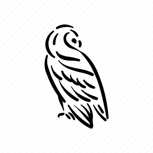 Owl, animal, aves, bird, wild, wisdom, education icon - Download on Iconfinder
