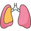 pulmonary, disease, chronic, obstructive, lungs 