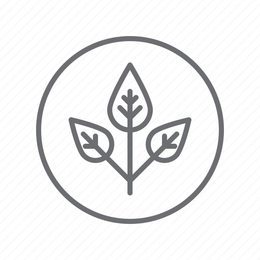Plant, nature, ecology, environment, eco icon - Download on Iconfinder