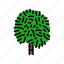 cabbage, palm, tree, oil, leaf, plant 